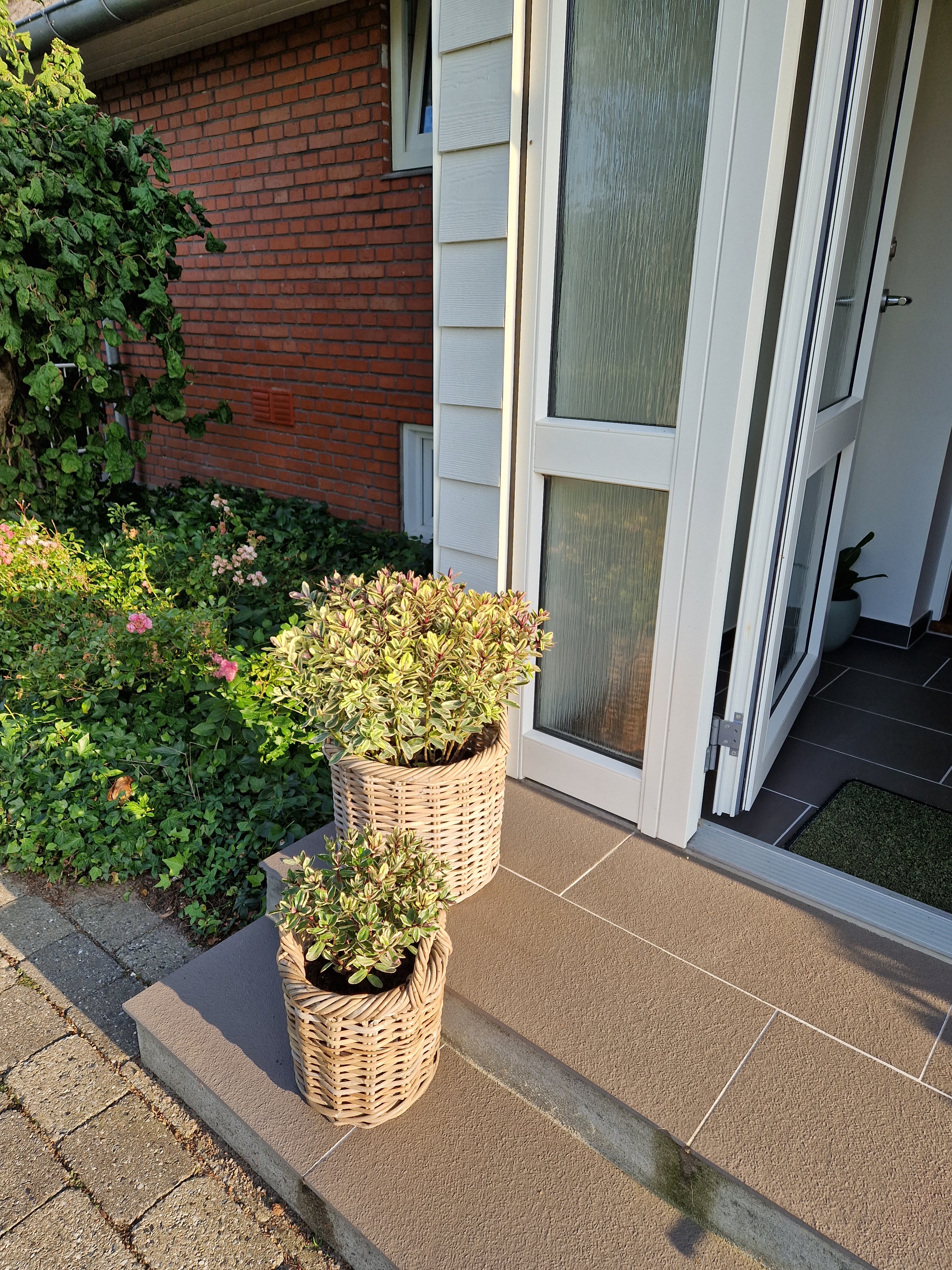 Bendixen Styling - udendørs beplantninger