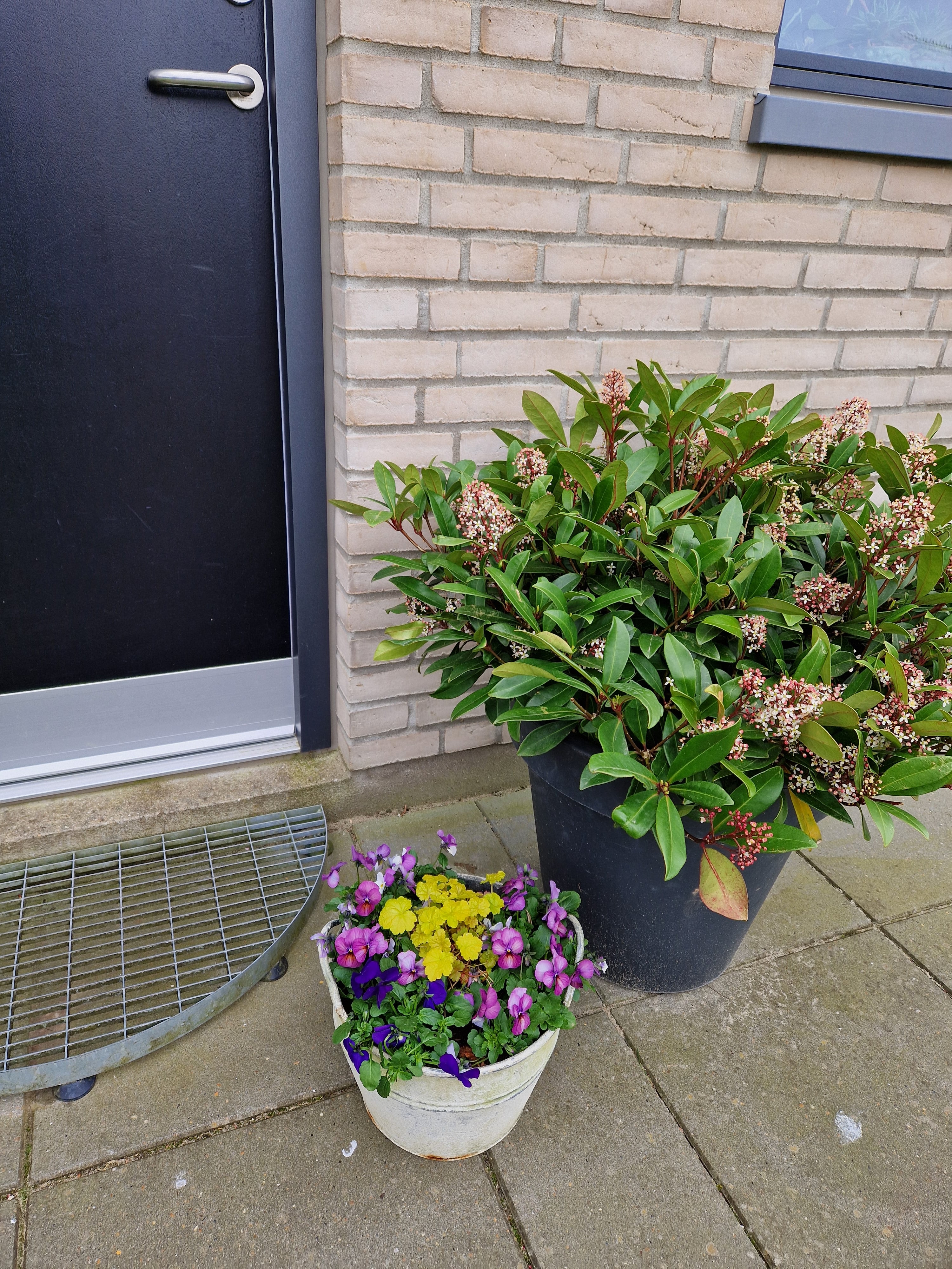 Bendixen Styling - udendørs beplantninger